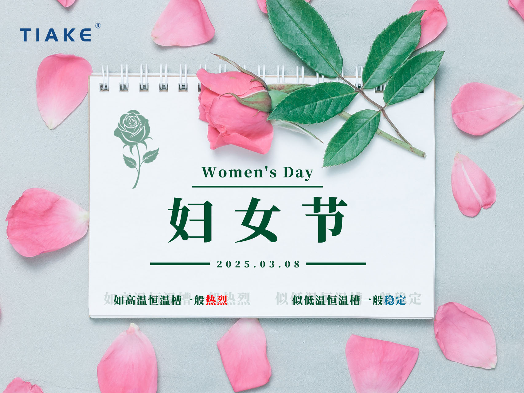 無需借光而行，我亦是星辰?！暇┨炜谱Ｋ信裕窆?jié)，做自己的大女主！